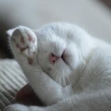 【睡眠とるなら寝袋！】ベットを捨てて寝袋で睡眠をとるようになって分かったこと